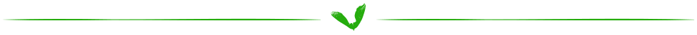 Green Hosting Divider